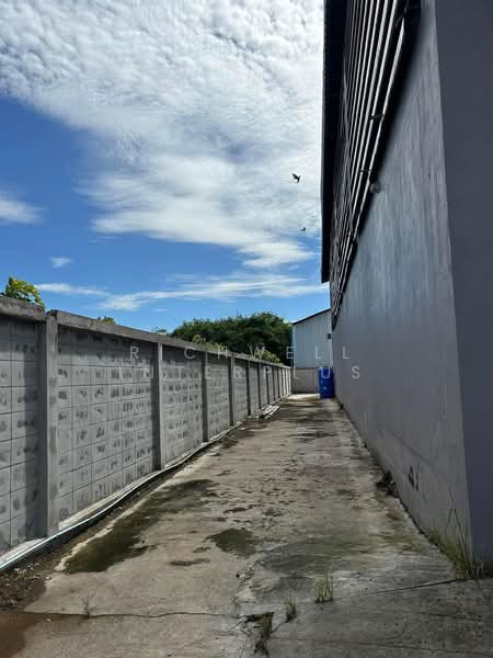 Warehouse for sale with 1 rai of land (360 sq m) of usable space, Pathum Thani, Na-Mai, Lat Lum Kaeo, Pathum Thani, , 360 sqm, Warehouse/Factory For Sale, by RICHWELL INTERPLUS, 500332883 - DDproperty.com