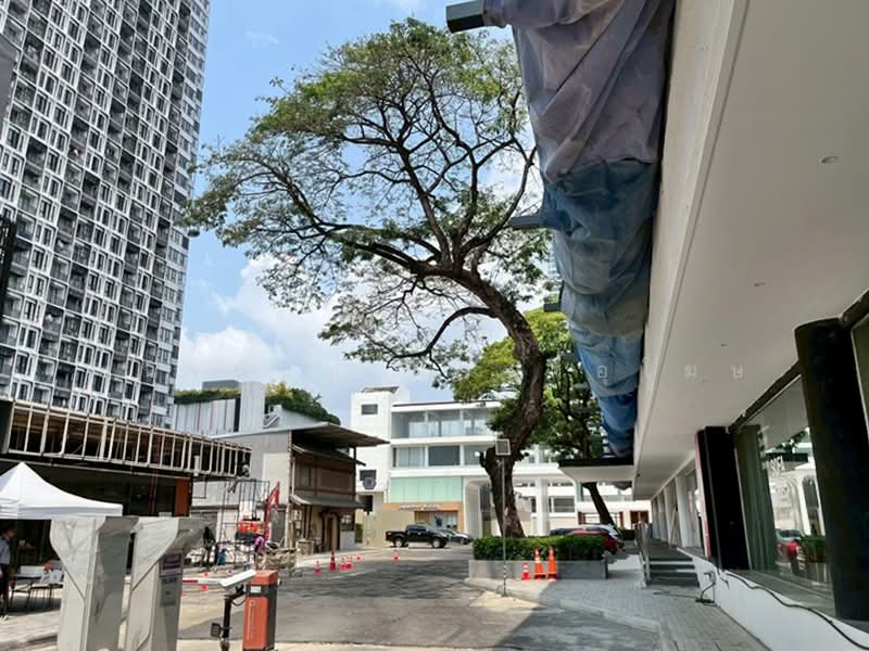 Retail in a Mall Project on Ekkamai Road For Rent Starting 24 sqm, Bangkok, เอกมัย, Khlong Tan Nua, Watthana, Bangkok, , 151 sqm, Retail Space For Rent, by Chanitnun Mewongukote, 500332942 - DDproperty.com
