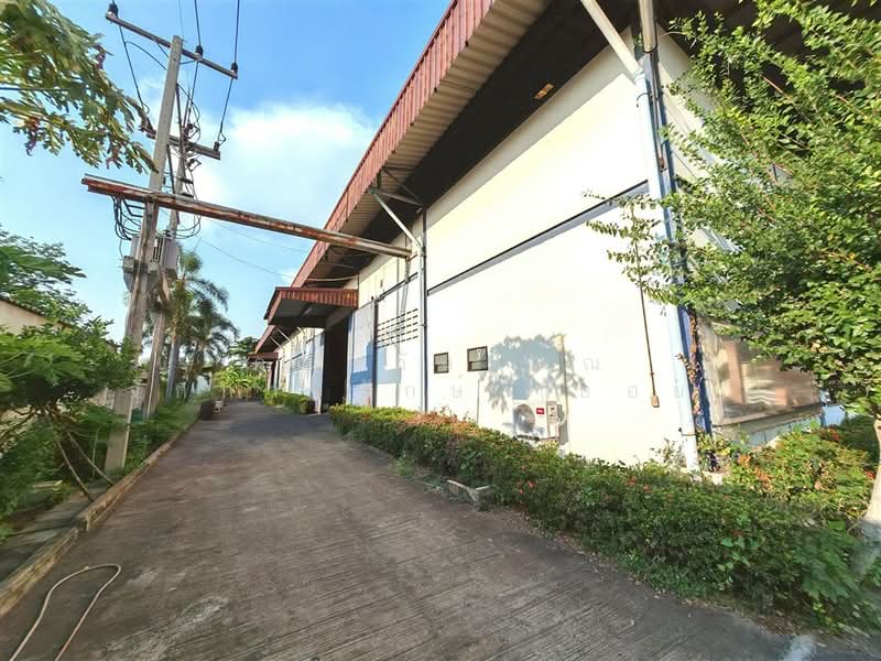 โรงงาน 1 ชั้น 800 ตร.ว. โรงงาน ซอยโรงหล่อพระลิขิต นครปฐม ถนนเพชรเกษม, Nakhon Pathom, ถนนเพชรเกษม, Khun Kaeo, Nakhon Chai Sri, Nakhon Pathom, , 1,460 sqm, Warehouse/Factory For Sale, by คุณ กันตภณ จักกาวิรักษ์ (บอย), 500332998 - DDproperty.com