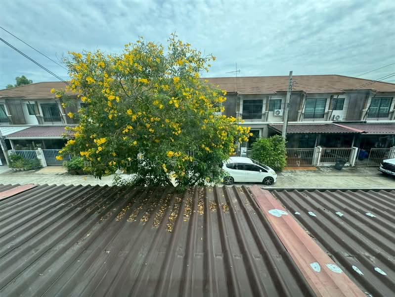 Pruksa Ville 57 Pattanakarn : พฤกษาวิลล์ 57 พัฒนาการ, กรุงเทพ, ซอยพัฒนาการ 38, สวนหลวง, กรุงเทพ, 90 ตร.ม., ทาวน์เฮ้าส์ ขาย, โดย คุณ บัณฑิต คุ้มแจ้ง (เก่ง), 500333116 - DDproperty.com