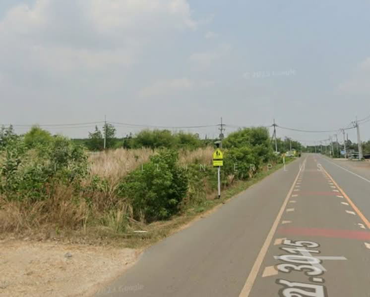 Land for sale, purple zone (industrial park), long plot, 11 rai, adjacent to Nong Krok 3015 road, Chachoengsao, Plaeng Yao, Chachoengsao, , 18,456 sqm, Land For Sale, by RICHWELL INTERPLUS, 500333136 - DDproperty.com
