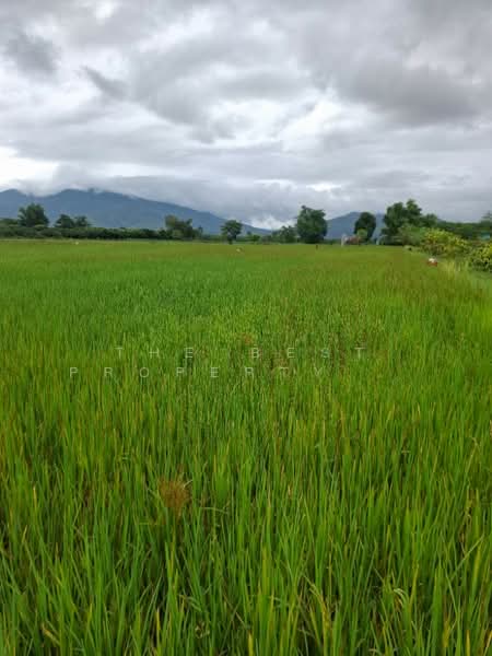 ที่ดินเทิง เชียงราย, เชียงราย, สันทรายงาม, เทิง, เชียงราย, 33,216 ตร.ม., ที่ดิน ขาย, โดย The Best Property Agent ไนล์, 500333199 - DDproperty.com
