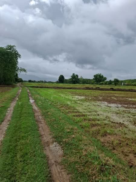 ที่ดินเทิง เชียงราย, Chiang Rai, San Sai Ngam, Thoeng, Chiang Rai, , 33,216 sqm, Land For Sale, by The Best Property Agent ไนล์, 500333199 - DDproperty.com