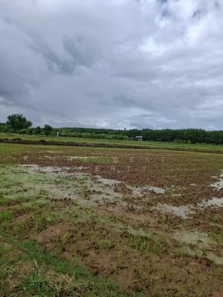 ที่ดินเทิง เชียงราย, Chiang Rai, San Sai Ngam, Thoeng, Chiang Rai, , 33,216 sqm, Land For Sale, by The Best Property Agent ไนล์, 500333199 - DDproperty.com