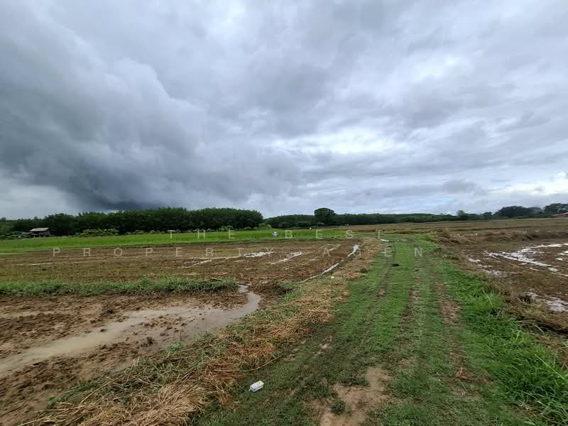 ที่ดินเทิง เชียงราย, Chiang Rai, San Sai Ngam, Thoeng, Chiang Rai, , 33,216 sqm, Land For Sale, by The Best Property Agent ไนล์, 500333199 - DDproperty.com