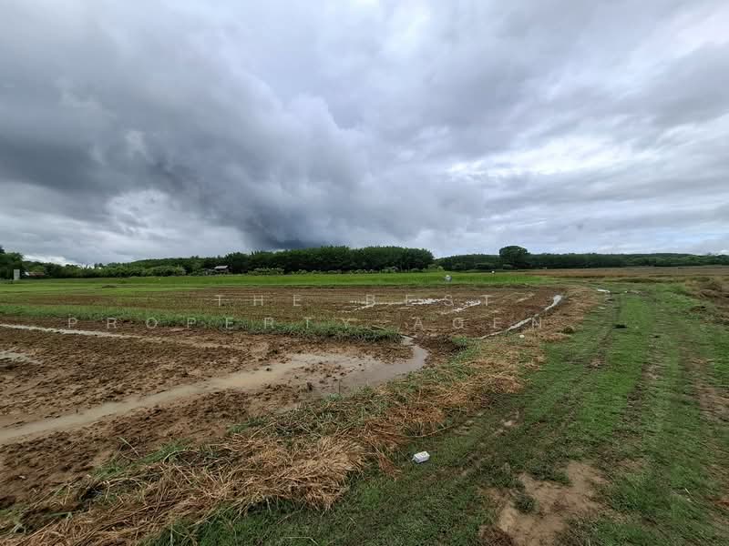 ที่ดินเทิง เชียงราย, Chiang Rai, San Sai Ngam, Thoeng, Chiang Rai, , 33,216 sqm, Land For Sale, by The Best Property Agent ไนล์, 500333199 - DDproperty.com