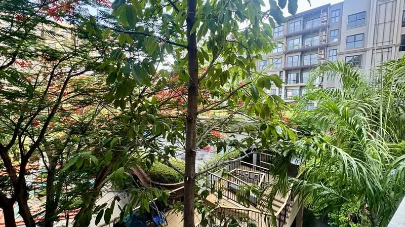 La Habana Hua Hin : ลา ฮาบานา หัวหิน, ประจวบคีรีขันธ์, ซอยหัวหิน 23, หนองแก, หัวหิน, ประจวบคีรีขันธ์, 34 ตร.ม., คอนโด ขาย, โดย Acute Realty Partner Co.,Ltd., 500333202 - DDproperty.com