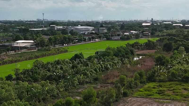 ที่ดินคลองหลวง ปทุมธานี, ปทุมธานี, คลองสาม, คลองหลวง, ปทุมธานี, 2,400 ตร.ม., ที่ดิน ขาย, โดย The Best Property Agent รินทร์, 500333235 - DDproperty.com