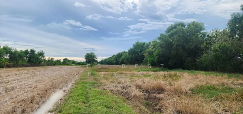 ที่ดินคลองหลวง ปทุมธานี, Pathum Thani, Khlong Sam, Khlong Luang, Pathum Thani, , 2,400 sqm, Land For Sale, by The Best Property Agent รินทร์, 500333235 - DDproperty.com