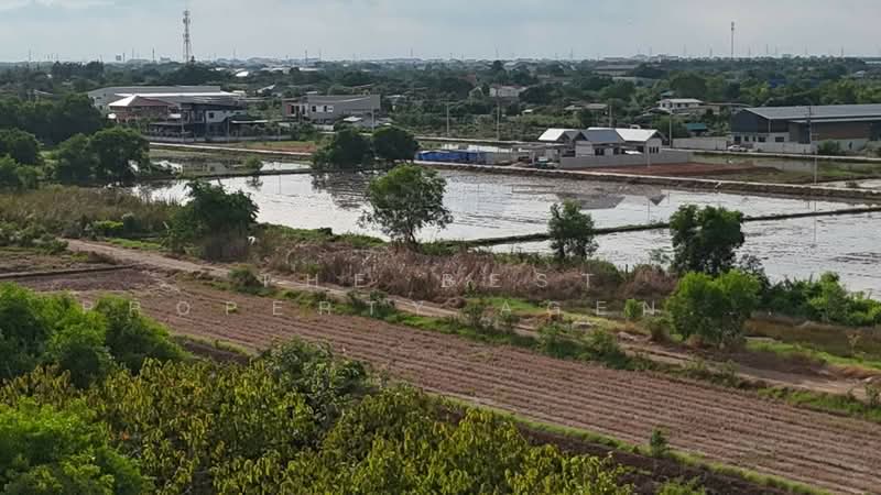 ที่ดินคลองหลวง ปทุมธานี, Pathum Thani, Khlong Sam, Khlong Luang, Pathum Thani, , 2,400 sqm, Land For Sale, by The Best Property Agent รินทร์, 500333235 - DDproperty.com