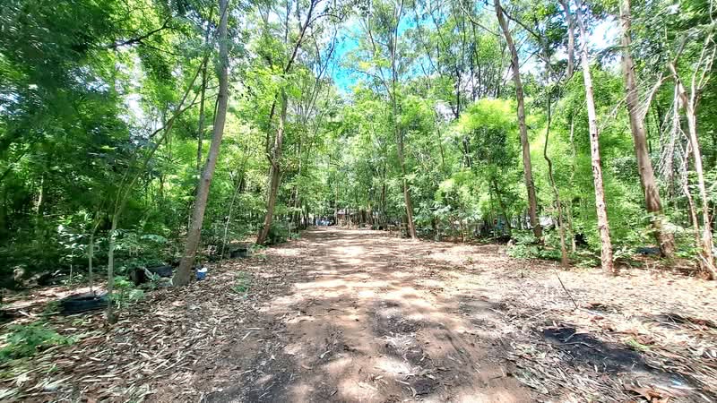 ที่ดินพร้อมสิ่งปลูกสร้างเชียงขวัญ ร้อยเอ็ด, Roi Et, Mu-Mon, Chiang Khwan, Roi Et, , 14,440 sqm, Land For Sale, by The Best Property ทองใบ, 500333400 - DDproperty.com