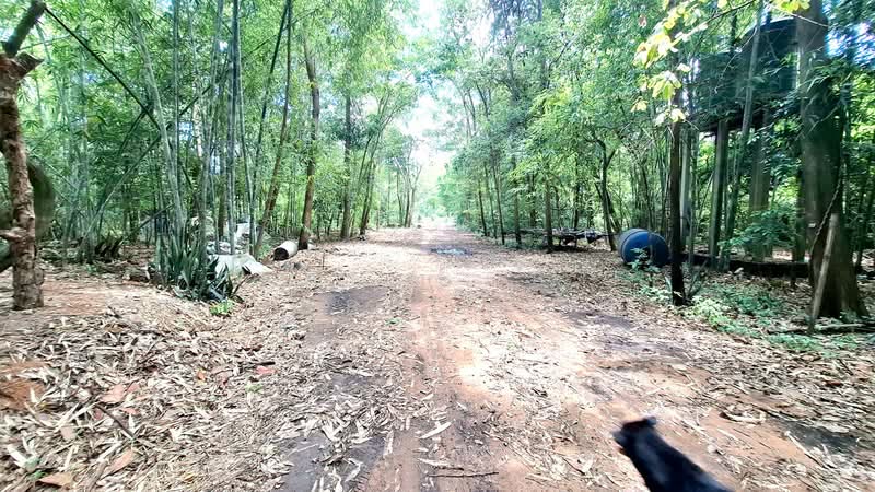 ที่ดินพร้อมสิ่งปลูกสร้างเชียงขวัญ ร้อยเอ็ด, Roi Et, Mu-Mon, Chiang Khwan, Roi Et, , 14,440 sqm, Land For Sale, by The Best Property ทองใบ, 500333400 - DDproperty.com