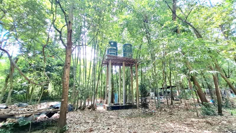 ที่ดินพร้อมสิ่งปลูกสร้างเชียงขวัญ ร้อยเอ็ด, ร้อยเอ็ด, หมูม้น, เชียงขวัญ, ร้อยเอ็ด, 14,440 ตร.ม., ที่ดิน ขาย, โดย The Best Property ทองใบ, 500333400 - DDproperty.com