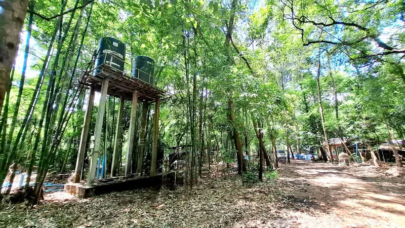 ที่ดินพร้อมสิ่งปลูกสร้างเชียงขวัญ ร้อยเอ็ด, Roi Et, Mu-Mon, Chiang Khwan, Roi Et, , 14,440 sqm, Land For Sale, by The Best Property ทองใบ, 500333400 - DDproperty.com