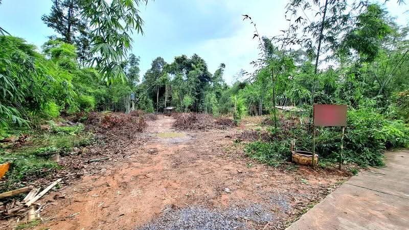 ที่ดินพร้อมสิ่งปลูกสร้างเชียงขวัญ ร้อยเอ็ด, Roi Et, Mu-Mon, Chiang Khwan, Roi Et, , 14,440 sqm, Land For Sale, by The Best Property ทองใบ, 500333400 - DDproperty.com