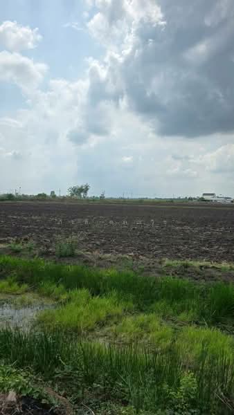 ดงละคร, Nakhon Nayok, Dong Lakhon, Muang Nakhon Nayok, Nakhon Nayok, , 32,328 sqm, Land For Sale, by ภัชลี ลภณวิช, 500333426 - DDproperty.com