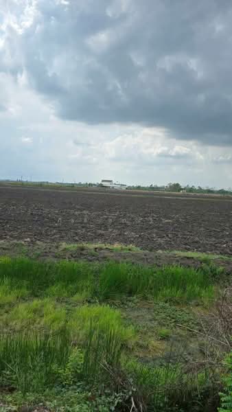 ดงละคร, Nakhon Nayok, Dong Lakhon, Muang Nakhon Nayok, Nakhon Nayok, , 32,328 sqm, Land For Sale, by ภัชลี ลภณวิช, 500333426 - DDproperty.com