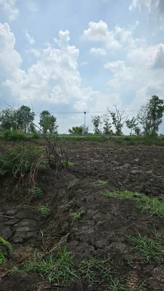 ดงละคร, Nakhon Nayok, Dong Lakhon, Muang Nakhon Nayok, Nakhon Nayok, , 32,328 sqm, Land For Sale, by ภัชลี ลภณวิช, 500333426 - DDproperty.com