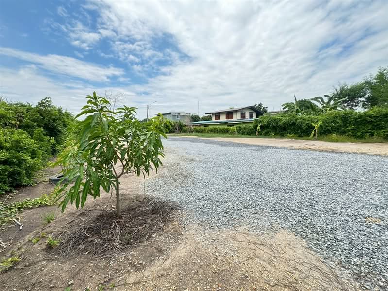 ที่ดินเปล่า 1 ไร่ 8 ตร.ว. ที่ดิน หมู่บ้านธรรมสุธีร์ ซอยธรรมสุธีร์13 ถนนปทุมธานี-บางบัวทอง(ทล.307), Pathum Thani, ถนนปทุมธานี-บางบัวทอง(ทล.307), Bang Dua, Muang Pathum Thani, Pathum Thani, , 1,632 sqm, Land For Sale, by คุณ ภรนันท์ปภัษฬ์ สวัสดิยกุล (ปู), 500333539 - DDproperty.com