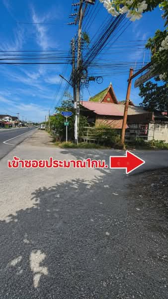 ที่ดินท้ายหาด สมุทรสงคราม, Samut Songkhram, Thai Hat, Muang Samut Songkhram, Samut Songkhram, , 332 sqm, Land For Sale, by The Best Property อุ๋ย, 500333606 - DDproperty.com