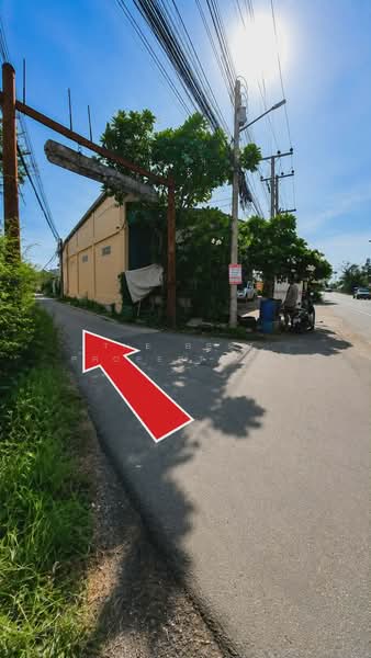 ที่ดินท้ายหาด สมุทรสงคราม, Samut Songkhram, Thai Hat, Muang Samut Songkhram, Samut Songkhram, , 332 sqm, Land For Sale, by The Best Property อุ๋ย, 500333606 - DDproperty.com