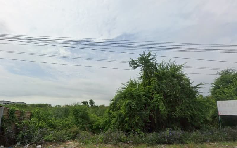 ที่ดินให้เช่า ลาดกระบัง อ่อนนุช : Land for rent in Lat Krabang, On Nut., กรุงเทพ, ทับยาว, ลาดกระบัง, กรุงเทพ, 20,800 ตร.ม., ที่ดิน ให้เช่า, โดย TOAH T., 500333652 - DDproperty.com