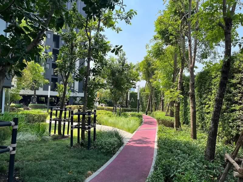Aspire Sukhumvit-On Nut : แอสปาย สุขุมวิท-อ่อนนุช, กรุงเทพ, ซอยอ่อนนุช 21 ถนนสุขุมวิท 77, สวนหลวง, กรุงเทพ, 31 ตร.ม., คอนโด ให้เช่า, โดย Jinda phraechuen James, 500333665 - DDproperty.com