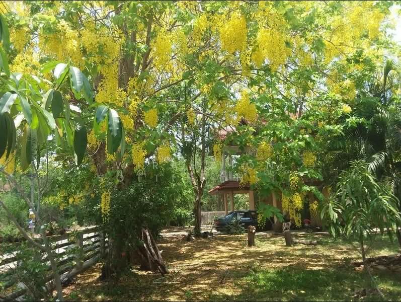 บ้านเดี่ยวพร้อมที่ดิน 300 ตร.ว. ทำเลธัญบุรี คลอง10 ปทุมธานี, Pathum Thani, รังสิต-นครนายก, Bung Sanan, Thanyaburi, Pathum Thani, 3 Bedrooms, 170 sqm, Single Detached House For Sale, by คุณ วิรธรณ์, 500333775 - DDproperty.com