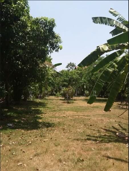 บ้านเดี่ยวพร้อมที่ดิน 300 ตร.ว. ทำเลธัญบุรี คลอง10 ปทุมธานี, Pathum Thani, รังสิต-นครนายก, Bung Sanan, Thanyaburi, Pathum Thani, 3 Bedrooms, 170 sqm, Single Detached House For Sale, by คุณ วิรธรณ์, 500333775 - DDproperty.com