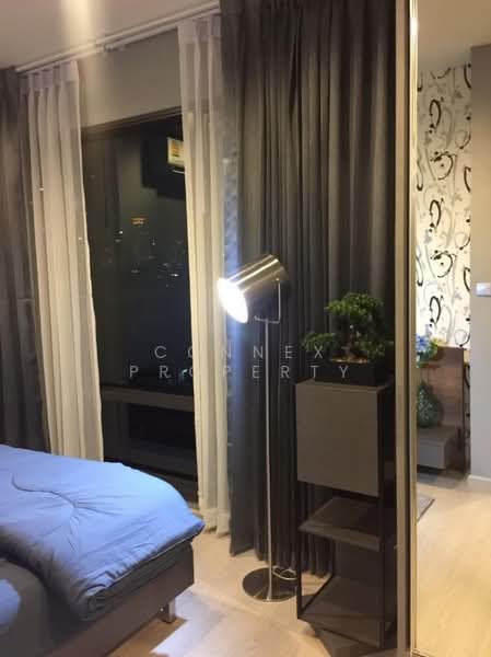 Rhythm Sukhumvit 36-38, Bangkok, 55 Soi Sukhumvit 36, Sukhumvit Road, Phra Kanong, Khlong Toei, Bangkok, 1 Bedroom, 49 sqm, Condo For Rent, by Connex Property, 500333801 - DDproperty.com
