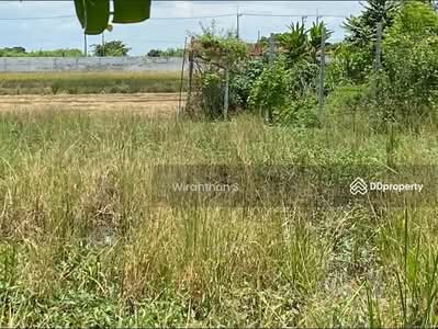 ขาย - ขายที่ดิน 200 ตรว. ถนนเลียบคลองโยง, นครปฐม