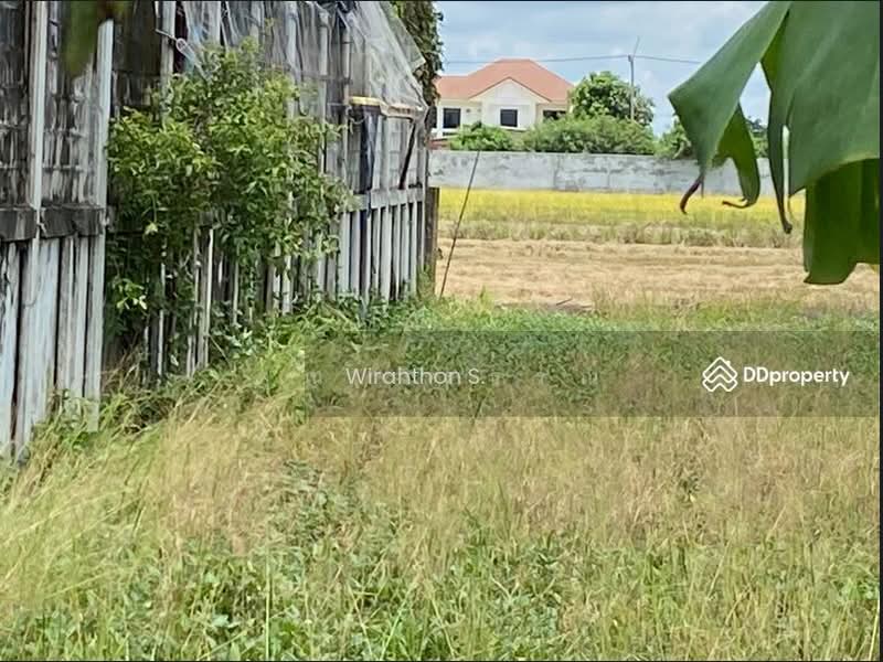 ขายที่ดิน 200 ตรว. ถนนเลียบคลองโยง, Nakhon Pathom, Khlong Yong, Phuttha Mon Thon, Nakhon Pathom, , 800 sqm, Land For Sale, by คุณ วิรธรณ์, 500333825 - DDproperty.com