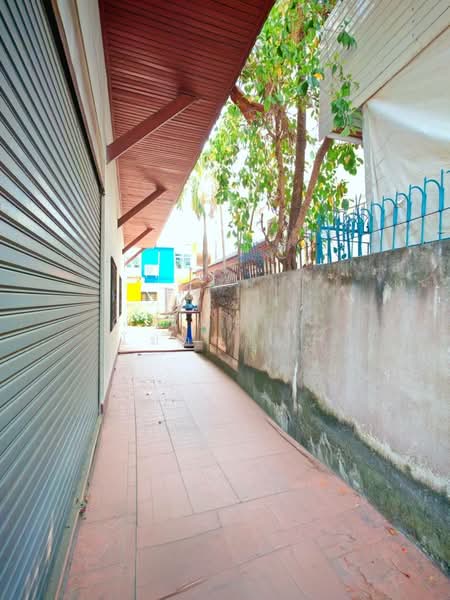 เมืองเชียงใหม่, เชียงใหม่, แม่เหียะ, เมืองเชียงใหม่, เชียงใหม่, 322 ตร.ม., ตึกแถว-อาคารพาณิชย์ ขาย, โดย ณิทษา โฆวาสินธุ์, 500333890 - DDproperty.com