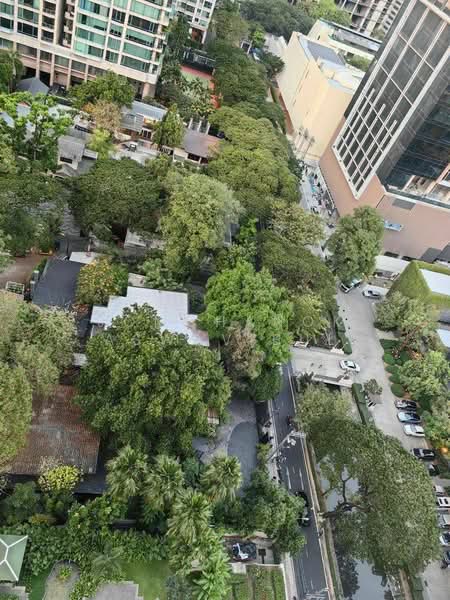 Somkid Gardens, Bangkok, Ploenchit, Lumphini, Pathum Wan, Bangkok, 3 Bedrooms, 251 sqm, Condo For Rent, by Jomchanok Aswavibul, 500333898 - DDproperty.com