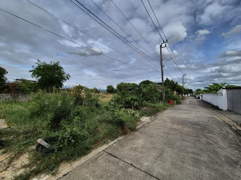 ที่ดิน ซอยมาเจริญ 1 เพชรเกษม 81 หนองแขม 200 ตร.ว., กรุงเทพ, มาเจริญ1 แยก3-4, หนองค้างพลู, หนองแขม, กรุงเทพ, 800 ตร.ม., ที่ดิน ขาย, โดย ฉัฐมณฑน์ หาบสา, 500333902 - DDproperty.com