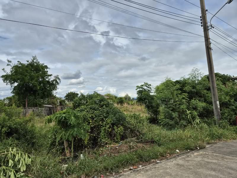 ที่ดิน ซอยมาเจริญ 1 เพชรเกษม 81 หนองแขม 200 ตร.ว., กรุงเทพ, มาเจริญ1 แยก3-4, หนองค้างพลู, หนองแขม, กรุงเทพ, 800 ตร.ม., ที่ดิน ขาย, โดย ฉัฐมณฑน์ หาบสา, 500333902 - DDproperty.com