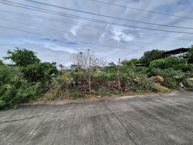 ที่ดิน ซอยมาเจริญ 1 เพชรเกษม 81 หนองแขม 200 ตร.ว., กรุงเทพ, มาเจริญ1 แยก3-4, หนองค้างพลู, หนองแขม, กรุงเทพ, 800 ตร.ม., ที่ดิน ขาย, โดย ฉัฐมณฑน์ หาบสา, 500333902 - DDproperty.com