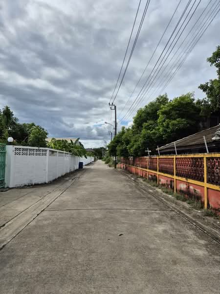 ที่ดิน ซอยมาเจริญ 1 เพชรเกษม 81 หนองแขม 200 ตร.ว., กรุงเทพ, มาเจริญ1 แยก3-4, หนองค้างพลู, หนองแขม, กรุงเทพ, 800 ตร.ม., ที่ดิน ขาย, โดย ฉัฐมณฑน์ หาบสา, 500333902 - DDproperty.com