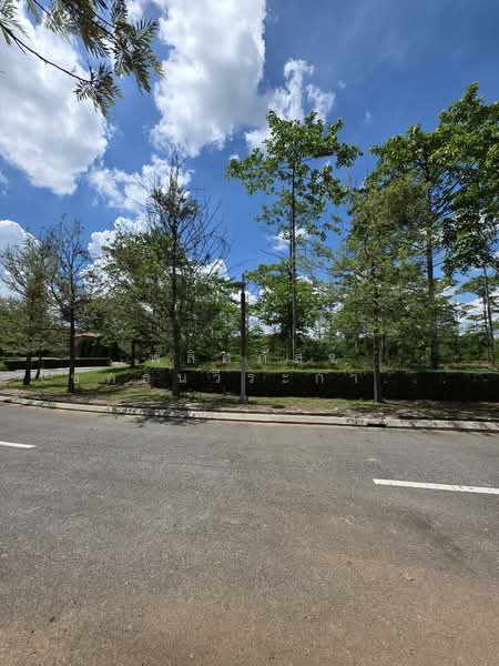 ที่ดิน Rare Item ที่สุดของเขาใหญ่, Nakhon Ratchasima, Mu Si, Pak Chong, Nakhon Ratchasima, , 1,628 sqm, Land For Sale, by พลิศภัสร์ โชคธนวีระกานต์, 500333963 - DDproperty.com