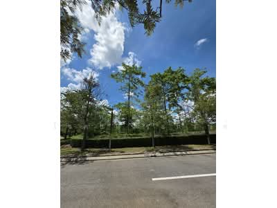 ขาย - ที่ดิน Rare Item ที่สุดของเขาใหญ่, นครราชสีมา