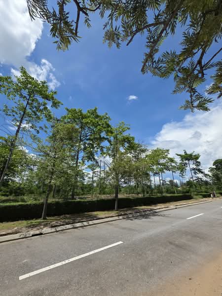 ที่ดิน Rare Item ที่สุดของเขาใหญ่, Nakhon Ratchasima, Mu Si, Pak Chong, Nakhon Ratchasima, , 1,628 sqm, Land For Sale, by พลิศภัสร์ โชคธนวีระกานต์, 500333963 - DDproperty.com