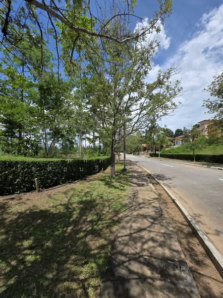 ที่ดิน Rare Item ที่สุดของเขาใหญ่, Nakhon Ratchasima, Mu Si, Pak Chong, Nakhon Ratchasima, , 1,628 sqm, Land For Sale, by พลิศภัสร์ โชคธนวีระกานต์, 500333963 - DDproperty.com