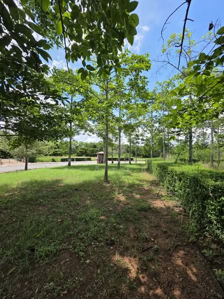 ที่ดิน Rare Item ที่สุดของเขาใหญ่, Nakhon Ratchasima, Mu Si, Pak Chong, Nakhon Ratchasima, , 1,628 sqm, Land For Sale, by พลิศภัสร์ โชคธนวีระกานต์, 500333963 - DDproperty.com