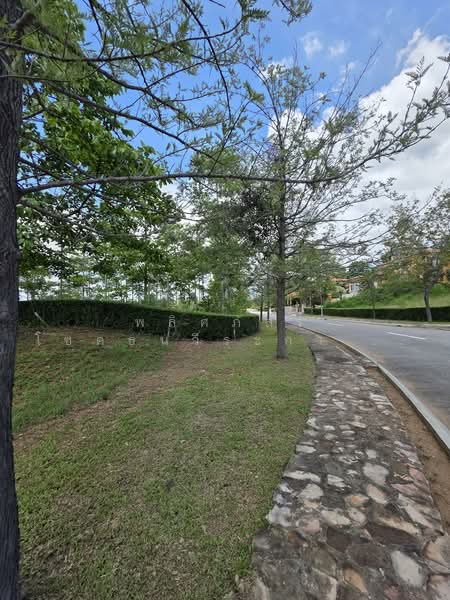 ที่ดิน Rare Item ที่สุดของเขาใหญ่, Nakhon Ratchasima, Mu Si, Pak Chong, Nakhon Ratchasima, , 1,628 sqm, Land For Sale, by พลิศภัสร์ โชคธนวีระกานต์, 500333963 - DDproperty.com