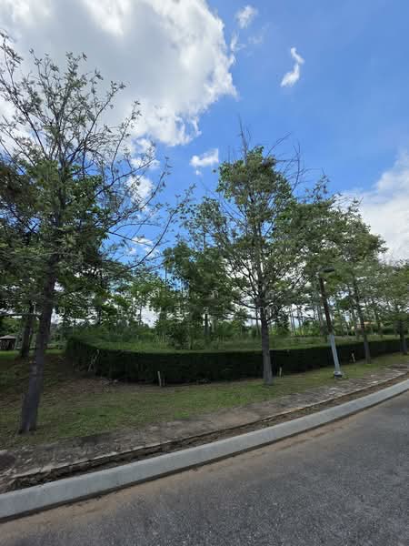 ที่ดิน Rare Item ที่สุดของเขาใหญ่, Nakhon Ratchasima, Mu Si, Pak Chong, Nakhon Ratchasima, , 1,628 sqm, Land For Sale, by พลิศภัสร์ โชคธนวีระกานต์, 500333963 - DDproperty.com