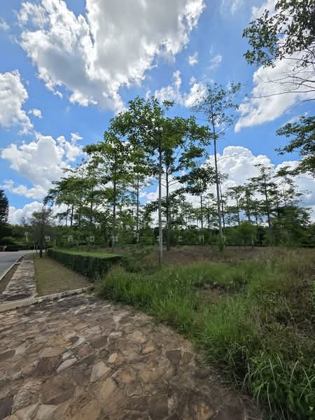 ที่ดิน Rare Item ที่สุดของเขาใหญ่, Nakhon Ratchasima, Mu Si, Pak Chong, Nakhon Ratchasima, , 1,628 sqm, Land For Sale, by พลิศภัสร์ โชคธนวีระกานต์, 500333963 - DDproperty.com