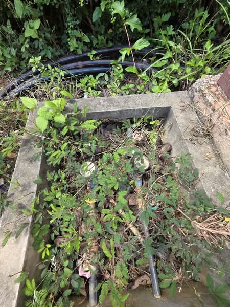 ที่ดิน Rare Item ที่สุดของเขาใหญ่, Nakhon Ratchasima, Mu Si, Pak Chong, Nakhon Ratchasima, , 1,628 sqm, Land For Sale, by พลิศภัสร์ โชคธนวีระกานต์, 500333963 - DDproperty.com