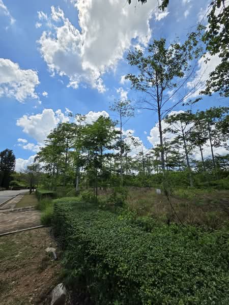 ที่ดิน Rare Item ที่สุดของเขาใหญ่, Nakhon Ratchasima, Mu Si, Pak Chong, Nakhon Ratchasima, , 1,628 sqm, Land For Sale, by พลิศภัสร์ โชคธนวีระกานต์, 500333963 - DDproperty.com