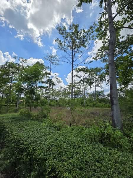 ที่ดิน Rare Item ที่สุดของเขาใหญ่, Nakhon Ratchasima, Mu Si, Pak Chong, Nakhon Ratchasima, , 1,628 sqm, Land For Sale, by พลิศภัสร์ โชคธนวีระกานต์, 500333963 - DDproperty.com