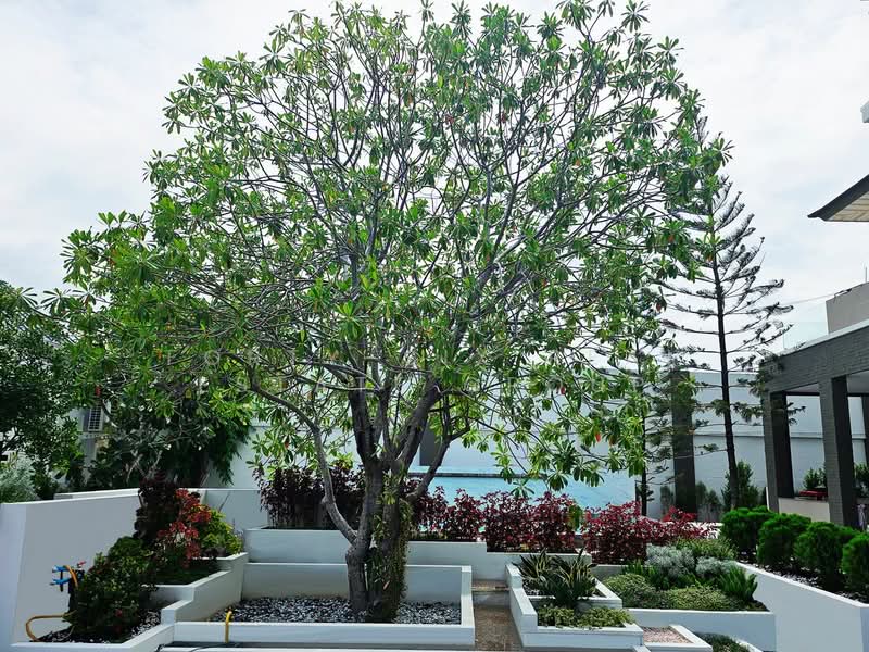 Perfect Masterpiece Sukhumvit 77, Samut Prakan, Soi Mu Ban Perfect Place Sukhumvit 77, Rachathewa, Bang Plee, Samut Prakan, 6 Bedrooms, 836 sqm, Single Detached House For Sale, by Forty-Six Real Estate Group, 500333970 - DDproperty.com